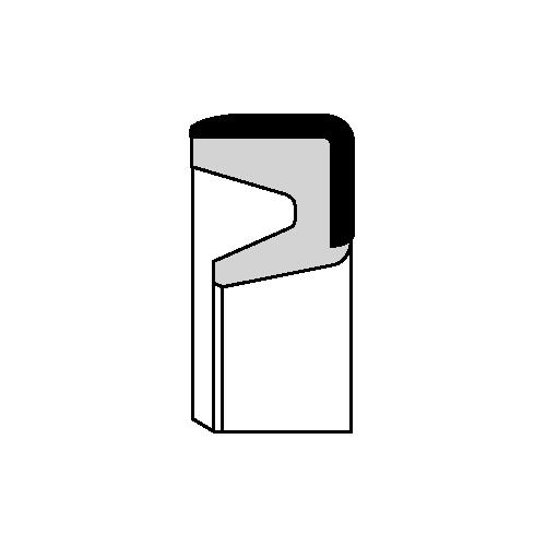 Oil Seals