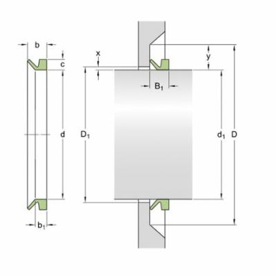 V-Seals