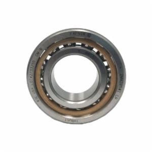Timken&reg; 2MM201WI