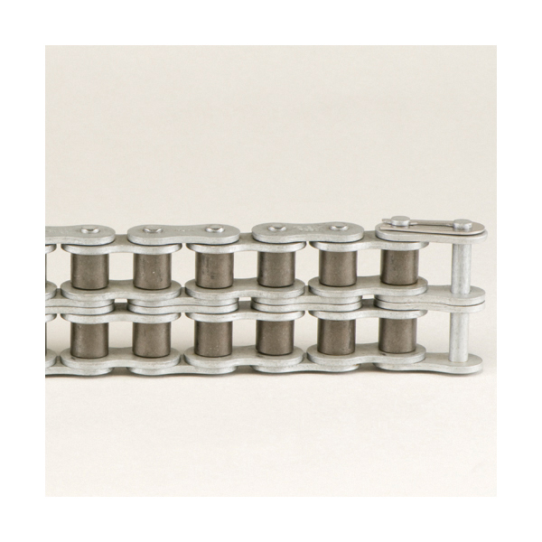 Tsubaki&reg; 100-2RB