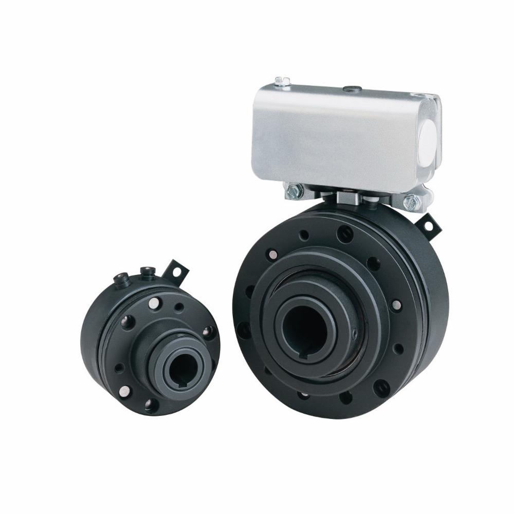 Electric Clutches